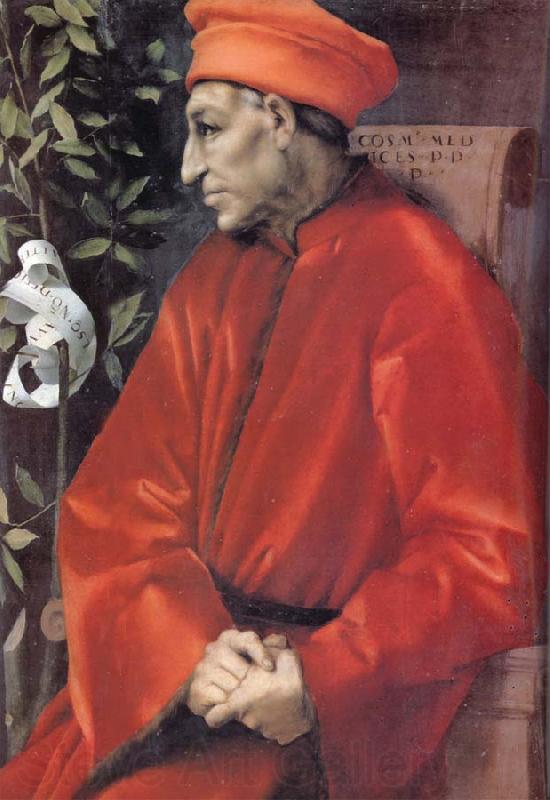 Jacopo Pontormo Cosimo de Medici the Elder France oil painting art